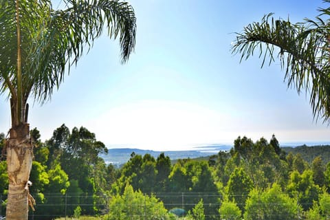 Natural landscape, Sea view