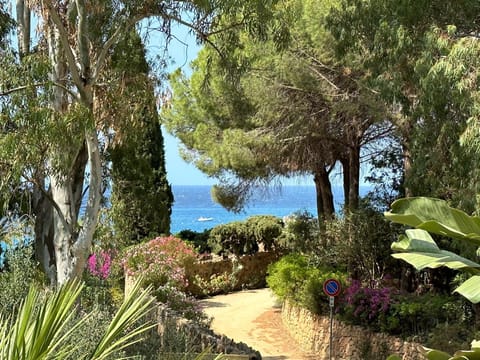 Natural landscape, Garden view, Sea view