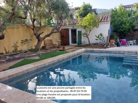 Garden, Pool view, Pool view, Swimming pool