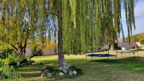 Spring, Garden view