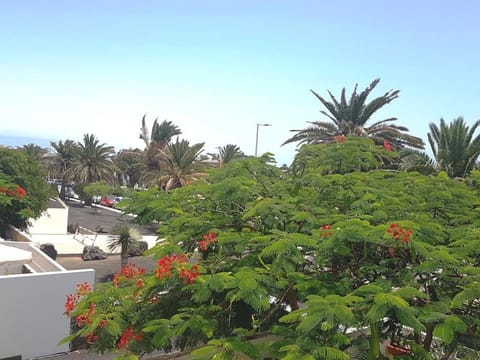 Casa Sira, céntrico y cerca de playa Costa Teguise Apartment in Costa Teguise