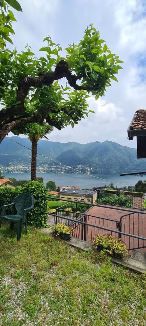 Garden, Garden view, Lake view