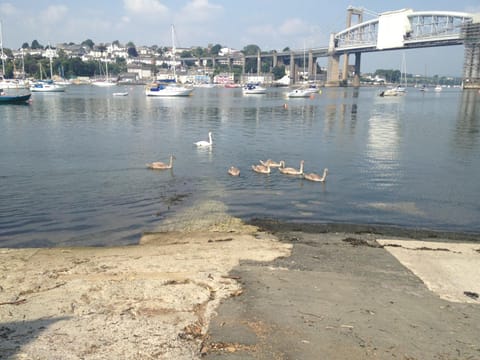 Day, Neighbourhood, Animals