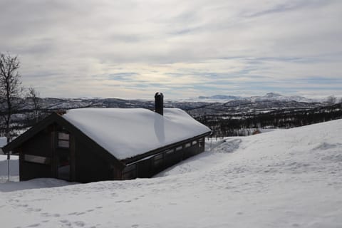 Veslestølen - Ålhytte with amazing view, 1000 meter House in Viken, Norway