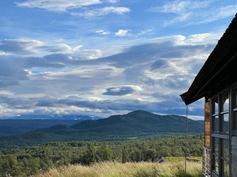 Veslestølen - Ålhytte with amazing view, 1000 meter House in Viken, Norway