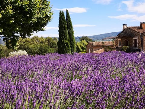 Les Vendangeurs, gîte au milieu des vignes face au Luberon House in Goult