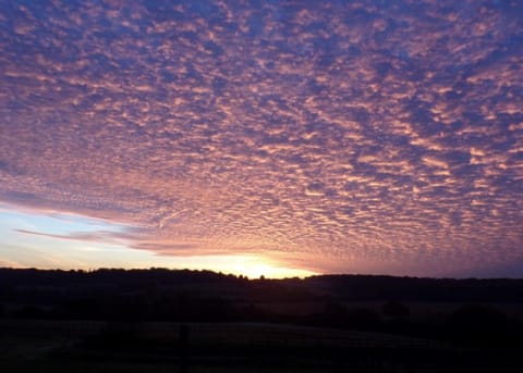 Natural landscape, View (from property/room)