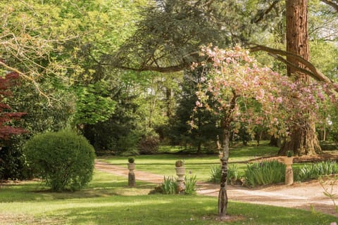 Manoir de la Maison Blanche Bed and Breakfast in Amboise