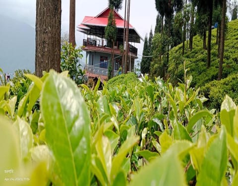 The Tea Garden Homestay by StayApart Vacation rental in West Bengal