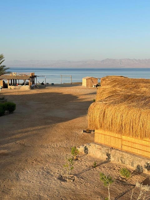 Raha Camp Campground/ 
RV Resort in South Sinai Governorate