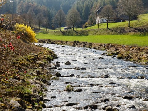 Natural landscape, River view