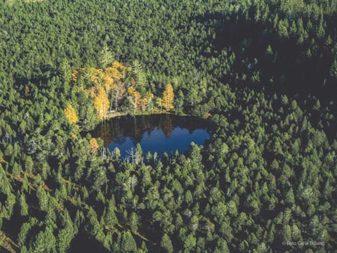 Natural landscape, Lake view