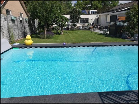 Garden, Pool view, Swimming pool