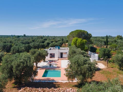 Bird's eye view, Swimming pool