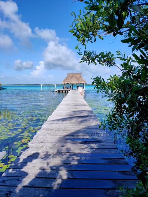 Day, Natural landscape, Lake view