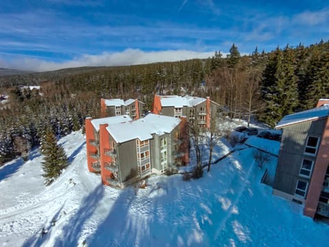 Property building, Bird's eye view