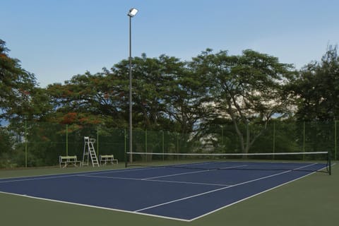 Tennis court