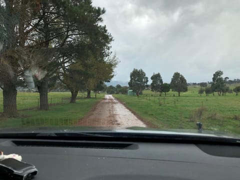 Bally Patrick Homestead, Merrijig House in Merrijig