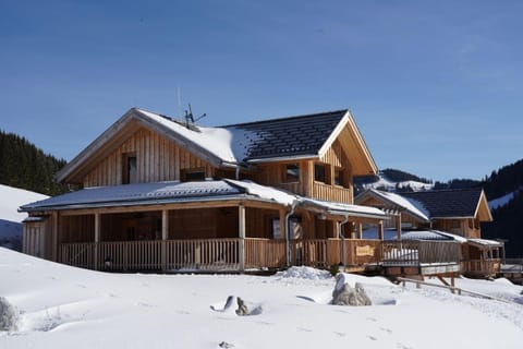 Luxus Chalet Murmeltierhütte House in Hohentauern