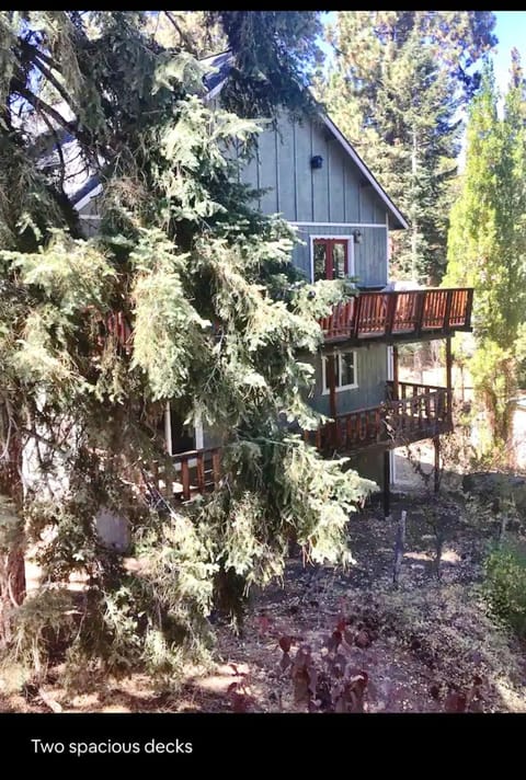 Hallelujah Forest House in Big Bear