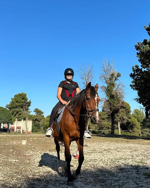 Day, People, Horse-riding, Animals, children, group of guests