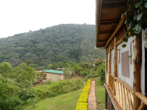 Buhoma Community Haven lodge Hotel in Uganda