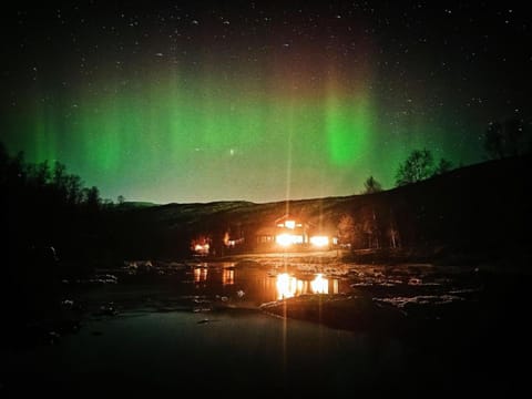 Cabin Riverqueen - great choice for families House in Nordland, Norway