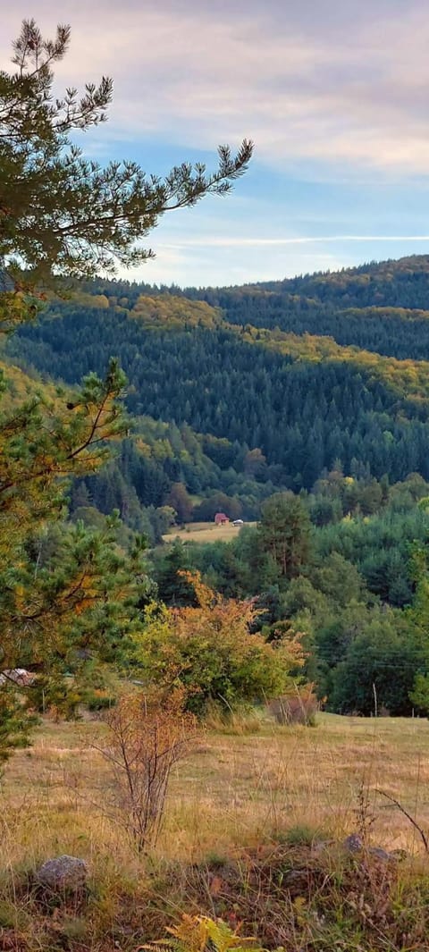 Spring, Day, Natural landscape, Mountain view