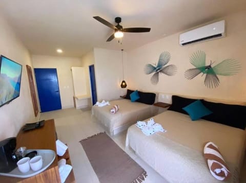 sunsteps dragonfly room Condo in Holbox
