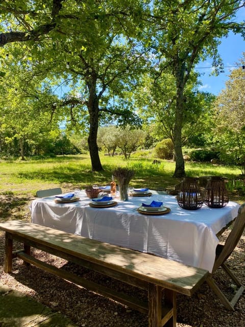 Natural landscape, Garden, Dining area, Garden view