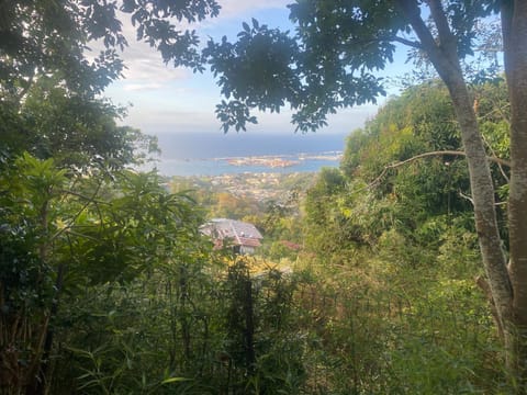 Natural landscape, Sea view