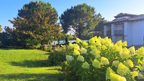 Property building, Garden, Garden view