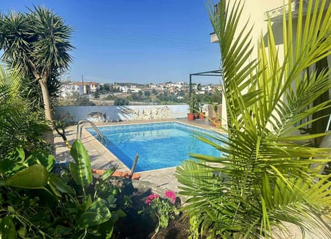 Day, Pool view, Swimming pool