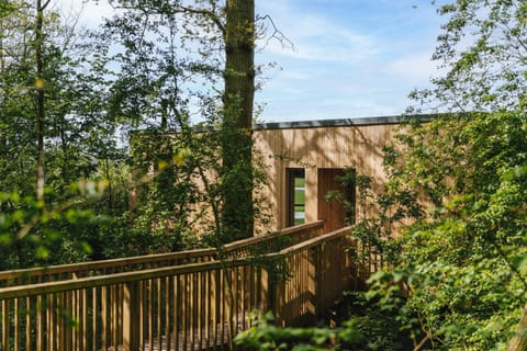 RewildThings Treehouses Chalet in Stroud District