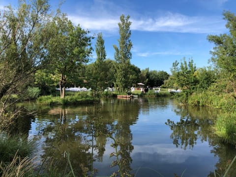 marais de capeau Villa in Arles