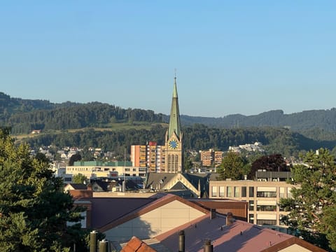 Moderne & helle Wohnung mit Netflix & Bergsicht Apartment in Canton of Zurich