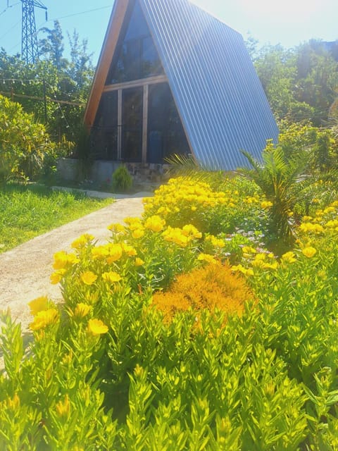 Paradise cottage Apartment in Adjara, Georgia