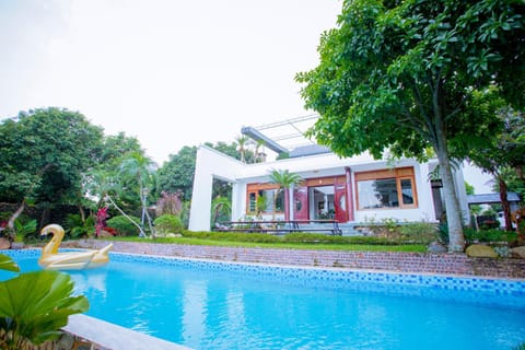 Property building, Day, Pool view, Swimming pool