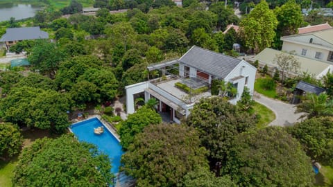 Property building, Bird's eye view