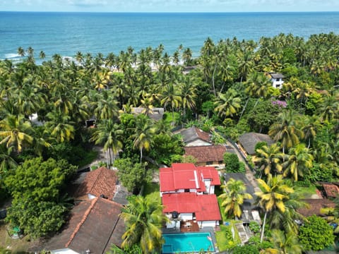 Property building, Bird's eye view