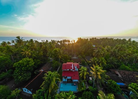 Property building, Bird's eye view