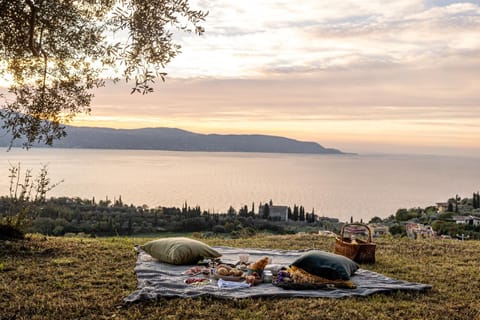 Natural landscape, Garden, Lake view, Sunset