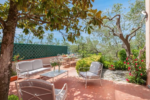 Patio, Day, Garden, Garden view