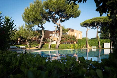 Garden, Pool view, Swimming pool