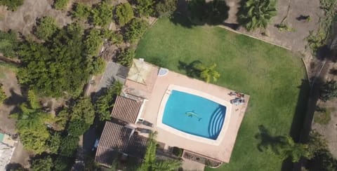 Day, Natural landscape, Bird's eye view, Pool view, Swimming pool, sunbed