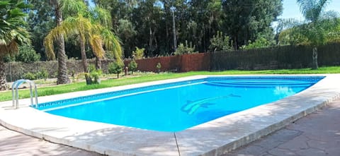 Day, Garden, Garden view, Pool view, Swimming pool