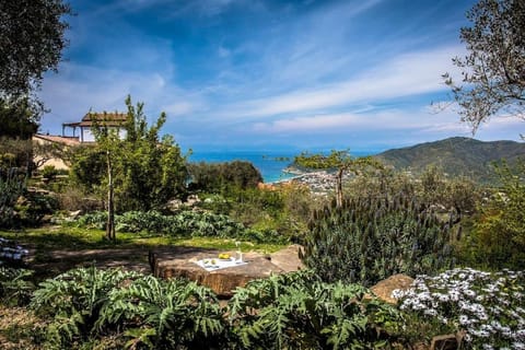 Natural landscape, Garden view, Sea view