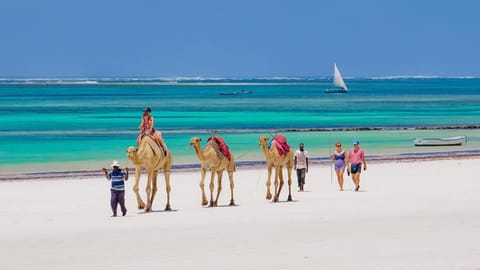 Nearby landmark, Day, People, Natural landscape, Beach, Animals, Sea view, group of guests