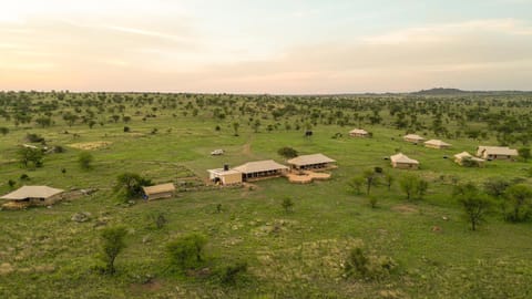 Serengeti Malaika Luxury Camp Natur-Lodge in Kenya