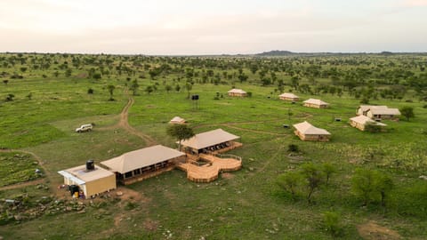 Serengeti Malaika Luxury Camp Natur-Lodge in Kenya